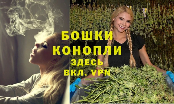 дживик Козловка