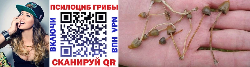 Псилоцибиновые грибы прущие грибы  Купить  Наро-Фоминск 